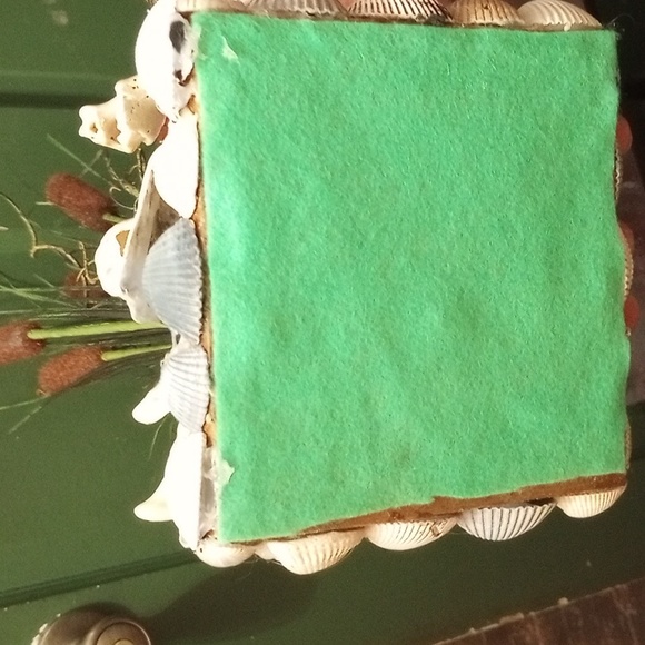 Cattail and sea shell arrangement - Picture 4 of 4